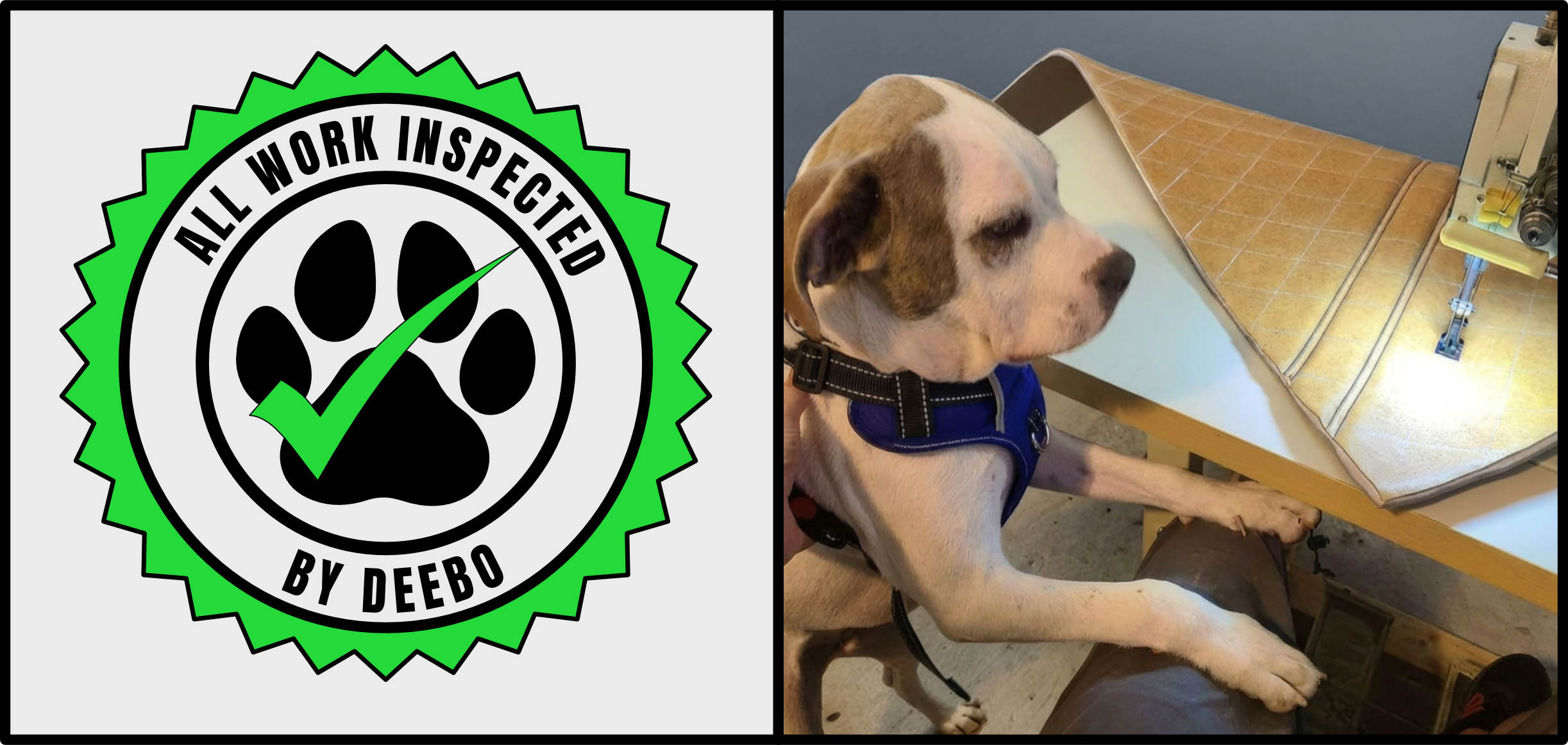 All work inspected by Deebo
